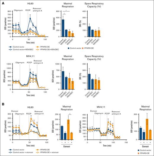 Analysis of cellular bioenergetics in PPARG-OE cells. (A) A Seahorse Bioscience XFe24 Extracellular Flux Analyzer was used to evaluate OCR in control vector vs PPARG-OE cells. MV4;11 and HL60 cells transfected with either the control vector or PPARG-OE construct were treated with VEN ± DEC for 4 hours, after which 5 × 105 cells were added per well. Three technical replicates were plated. During the assay, oligonomycin, FCCP, rotenone, and antimycin A were injected at the times indicated by the arrows. SRC percent was calculated as follows: (maximal OCR/basal OCR × 100). (B) Endogenous FAO was measured with or without etomoxir after nutrient starvation. The maximal OCRs are shown. Data are expressed as the mean ± SD of 3 independent experiments. Differences between the groups were tested using the 2-tailed Student t test. ∗P < .05.