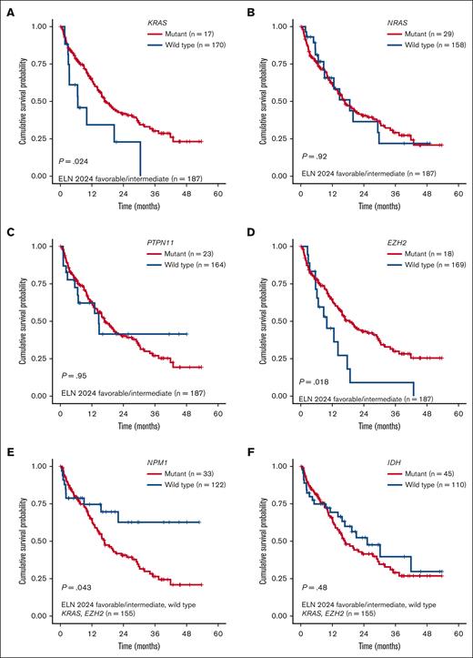 Kaplan-Meier OS analysis for patients with newly diagnosed AML aged ≥60 years. (A-D) Survival analysis stratified by KRAS, NRAS, PTPN11, and EZH2 mutations among patients with ELN 2024 favorable- or intermediate-risk AML. (E-F) Survival analysis stratified by NPM1 and IDH mutations among patients with ELN 2024 favorable- or intermediate-risk AML with KRAS and EZH2 wild type.