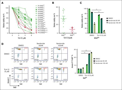 GCKi and iberdomide show synergistic anti-MM effects on primary MM. (A) Primary MM samples (RASWT, n = 12; RASMut, n = 3) were cocultured with bone marrow stromal cells and treated with TL4-12 at the indicated concentrations for 5 days. Cell viability rate was analyzed by MTS. (B) Primary MM cell viability inhibition rate by TL4-12 at 8 μM were compared between RASWT and RASMut. (C) NRASG61K primary CD138+ MM cells cocultured with bone marrow stromal cells were treated with TL4-12 and iberdomide at the indicated concentrations for 4 days. Cell viability was analyzed by MTS. (D) RASWT plasma CD138+ cells were treated with TL4-12 and iberdomide at the indicated concentrations for 4 days. Cell apoptosis was detected by flow cytometry after Annexin V and 7-AAD staining.