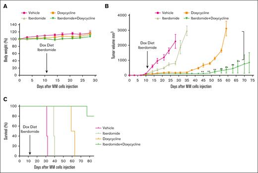 GCK silencing and iberdomide combination enhances anti-MM effects on MM xenograft model. Tet-on-sh-GCK-MM1.S cells were subcutaneously injected into severe combined immunodeficient beige mice. (A) Body weights were monitored every 3 days. No significant differences were observed between the different groups. (B) Subcutaneous tumor growth was measured using calipers and calculated with the volume formula: 0.5 × long diameter × (short diameter)2 for up to 75 days. Each bar represents the mean ± standard error of the mean (n = 5). ∗∗P < .01. (C) Kaplan-Meier survival analysis for the MM tumor model during 6 weeks of follow-up (n = 5 per group). Using a Log-Rank test, a survival benefit was observed for DOX vs vehicle (∗P < .05) and iberdomide + DOX vs vehicle (∗P < .05).