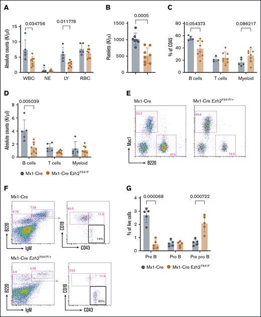 Partial block in B-cell development in Mx1-Cre Ezh2Y641F mice. (A) Complete peripheral blood cell counts (CBCs) showing WBCs, NEs, LYs, RBCs, and platelets in peripheral blood from Mx1-Cre Ezh2Y641F and Mx1-Cre control mice (n > 5 per group). (B) Platelet counts from CBC analysis. (C) Flow cytometry analysis of peripheral blood in Mx1-Cre Ezh2Y641F and Mx1-Cre–only control mice (n > 5). (D) Calculated absolute numbers of B cells, T cells, and myeloid cells in the peripheral of Mx1-Cre Ezh2Y641F and Mx1-Cre control from flow cytometry in panel A and CBC in panel C. (E) Representative flow plots of data in panel C. (F) Representative flow cytometry of bone marrow B-cell progenitor populations in Mx1-Cre Ezh2Y641F and Mx1-Cre–only control mice; black box indicates pre–pro-B cells. (G) Quantification of bone marrow B-cell populations in Mx1-Cre Ezh2Y641F and Mx1-Cre control mice (n > 5). Error bars indicate standard deviation. ∗P < .01; ∗∗P < .001. LY, lymphocyte; NE, neutrophil; RBC, red blood cell; WBC, white blood cell.