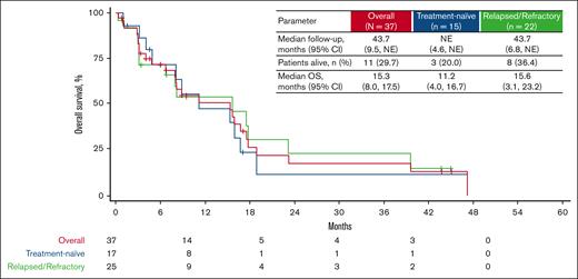 Kaplan-Meier analysis of OS for treatment-naïve and relapsed/refractory patients with CMML receiving tagraxofusp 12 μg/kg per day. NE, not estimable.