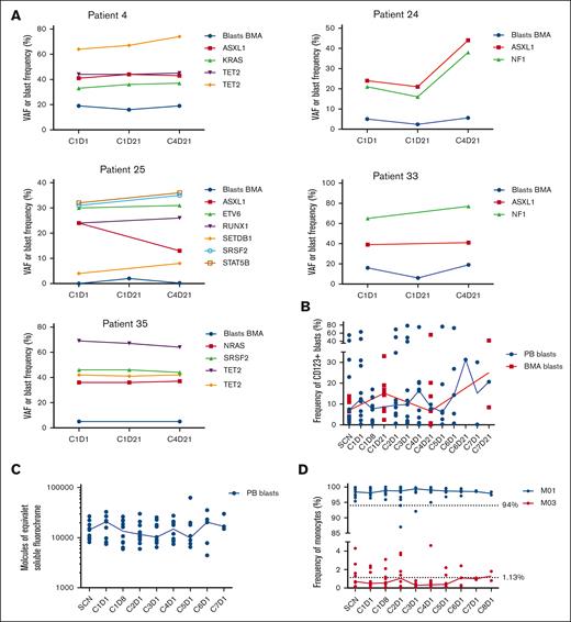 Longitudinal analysis of mutational variant allele frequencies, proportions of CD123+ blasts, expression patterns of CD123 blasts and proportions of monocyte subsets in CMML patients enrolled on the clinical trial. (A) Frequency of BMA blasts and VAF of specific gene mutations associated with CMML in 5 patients receiving tagraxofusp 12 μg/kg over 4 treatment cycles. (B) Median (represented by solid line) frequency of CD123+ blasts assessed by flow cytometry in the PB and BMAs of 13 patients with CMML receiving tagraxofusp 12 μg/kg per day. (C) Relative expression of CD123 on the surface of blasts in the PB during treatment (line represents median, n = 13). (D) Frequency of monocyte subsets (MO1 and MO3 monocytes) over the course of treatment (solid line represents median, n = 13). BMA, BM aspirate; C1D1, cycle 1, day 1; PB, peripheral blood; VAF, variant allele frequency.