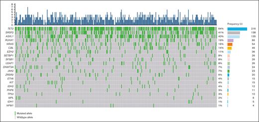 Baseline molecular characteristics. Oncoplot illustrating the frequency of mutated genes in 340 patients with CMML. The top panel depicts the number of mutated genes per index case (blue bars; range, 0-8). The central panel shows the type and number of mutated genes, as well as their relationships. Genes are sorted in order of prevalence. Green boxes represent mutated genes, and gray boxes represent wild-type alleles.