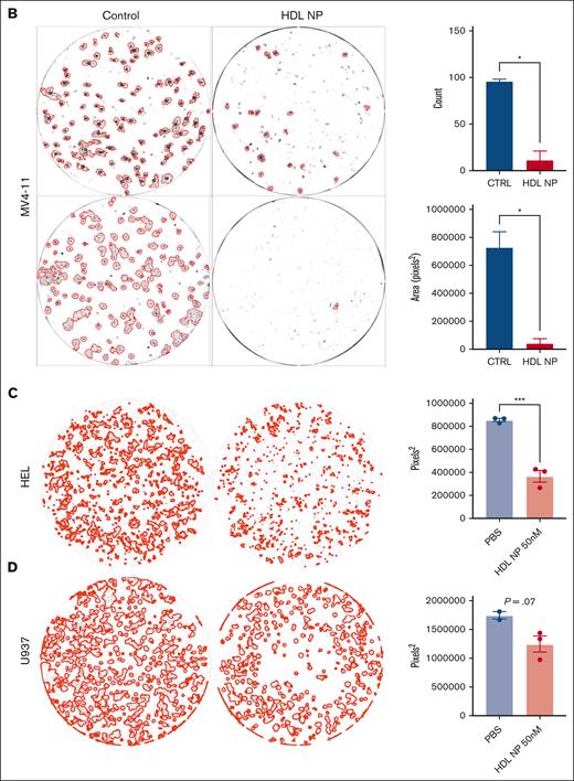 AML cell lines are exquisitely sensitive to HDL NP treatment. (A) MTS viability assay of MV4-11 (top), HEL (middle), and U937 (bottom) treated with HDL NPs (left) or cytarabine (right) at various nanomolar or micromolar concentrations. (B) Colony-forming assays with MV4-11 cells grown in methylcellulose treated with or without HDL NPs at 50 nM. CFUs are highlighted by red outlines on well images (left). The total CFU count (top right) and area (bottom right) were significantly reduced when treated with HDL NPs. (C-D) Representative images for HEL and U937 with or without HDL NP and total CFU areas. ∗P < .05; ∗∗∗P < .001. CTRL, control.