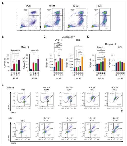 Mechanisms of cell death of MV4-11 and HEL treated with HDL NPs. (A) Annexin V–PI staining after MV4-11 cells were treated with HDL NPs from 10 to 40 nM. Apoptosis is represented by the annexin V positive PI negative population, and necrosis by the annexin V positive PI positive population. (B) Bar graph analysis of the apoptosis and necrosis results. (C) Caspase-3 and 7 levels in MV4-11 (left) and HEL (right) were detected by flow cytometry after treatment of HDL NPs from 10 to 80 nM. (D) Caspase-1 levels of MV4-11 (left) and HEL (right) after treatment of HDL NPs from 10 to 40 nM as detected by flow cytometry. (E) Representative flow cytometry results of MV4-11 (top) and (bottom) HEL cells were treated with PBS and HDL NPs (10-80 nM) stained with Live/Dead and CellROX.