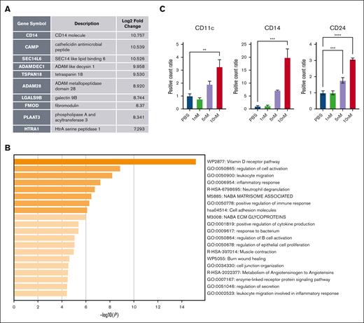 Pathway changes of MV4-11 after treatment with HDL NPs. (A) Top 10 DEGs from bulk RNA sequencing analysis. (B) Top pathways that are enhanced from pathway analysis from DEGs. (C) Mature granulocyte surface marker staining of CD11c, CD14, and CD24 of MV4-11 after HDL NP treatment from 1 to 10 nM. ∗∗P < .01; ∗∗∗P < .01; ∗∗∗∗P < .0001.
