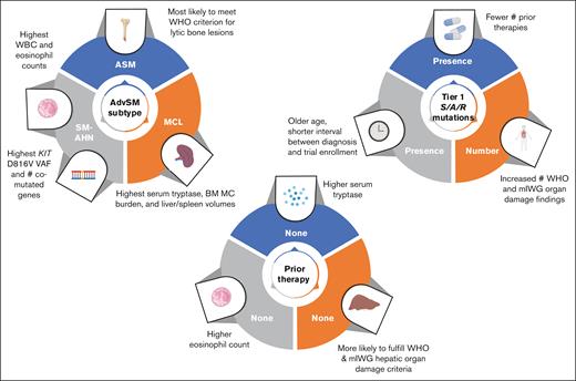 Differences in clinicopathologic features by disease subtype, previous therapy, and molecular profile. MC, mast cell; WBC, white blood cell; #, number of.