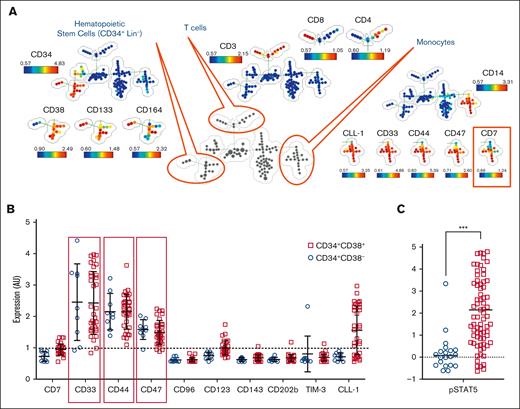 Immature JMML populations express targetable surface markers. Splenic MNCs from 3 patients were stained with metal-conjugated Ab, fixed with paraformaldehyde, stained with an iridium metallointercalator, and then measured on the cytometry by time-of-flight mass cytometer. (A) Pooled data of 3 separately acquired samples were analyzed in SPADE simultaneously. A minimum spanning tree was constructed based on differentiating surface markers. Putative cell populations were annotated manually based on known coexpression of lineage markers. (B) Nodes representing JMML hematopoietic stem/progenitor cells were identified by CD34, CD38, and the absence of lineage markers (Lin–), and expression of LSC-associated markers (CD7, CD33, CD44, CD47, CD96, CD123, CD143, CD202b, TIM-3, and CLL-1) were analyzed. (C) Nodes representing JMML hematopoietic stem/progenitor cells were evaluated for pSTAT5 expression. Each dot on the graphs in panels B-C represents the average expression of the analyzed marker in the corresponding nodes. Dotted line represents threshold of expression. ∗∗∗P < .001. AU, arbitrary units; pSTAT5, phosphorylated STAT5.