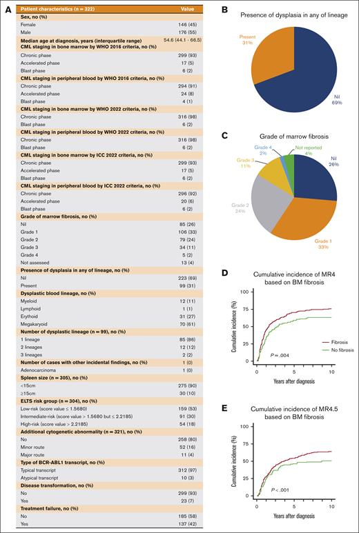 Patient characteristics and the distributions of marrow fibrosis and dysplasia. (A) Patient characteristics of the study cohort. (B) Pie chart showing the presence of dysplasia in assessed BM samples in any hematologic lineage. (C) Pie chart of the presence of BM fibrosis. (D) Cumulative incidence of MR4 based on BM fibrosis. (E) Cumulative incidence of MR4.5 based on BM fibrosis. ICC, International Consensus Classification.