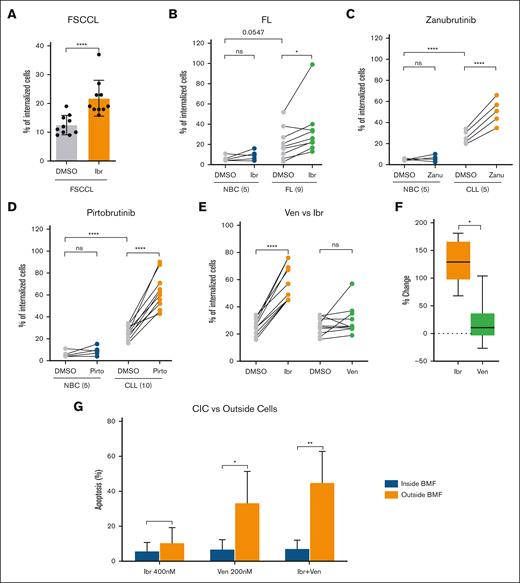 CIC in FL and CIC responses to BTKis and ven. (A) CIC in FSCCL cell line. Each dot represents 1 experiment. Ten repeat experiments are shown. (B) CIC increased with ex vivo ibr exposure in FL primary samples (n = 9). Cells were treated ex vivo with 0.4 μM for 5 hours. Each dot represents a case. Data were analyzed with paired, parametric, 2-tailed t test. (C) CIC increased upon exposure to the covalent BTKi zanu in CLL (n = 5). (D) CIC increased upon exposure to the noncovalent BTKi pirto in CLL (n = 10). (E) CIC in ven- vs ibr-treated cells (n = 10). Cells were treated for 5 hours. (F) Percentage of changes based on data in panel C: percent change = (drug – DMSO)/DMSO × 100%. Data were analyzed with paired, parametric, 2-tailed t test. (G) Apoptosis rate of CLL cells inside vs outside of BMF. Cells were treated with ibr (0.4 μM), Acala (0.5 μM), ven (0.2 μM), or ibr+ven for 8 hours. FLICA-positive cells were counted using confocal imaging, and 5 fields per condition per experiment were analyzed. Apoptosis rates were calculated as follows: apoptotic CIC/total CIC × 100% or apoptotic outside cells/total outside cells × 100%. Error bars represent the standard deviation of 3 independent experiments.
