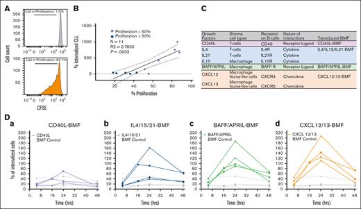 Molecular determinants of CIC in the TME system. (A) Cell proliferation determined by the CFSE assay; cells cultured with BMF only (left); cells cultured with BMF and TME stimuli CpG+IL-15 (right). The percentage of cell in proliferation are calculated as follows: percent proliferation = daughter/(daughter + parental) × 100%. (B) The correlation between CLL cell proliferation (as quantitated by CSFE) and cell internalization. R2 and P value for simple linear regression are indicated. Blue circles represent samples with proliferation <50%; purple circles represent samples with proliferation >50%. Solid line is best fit line, and dotted lines are the 95% confidence intervals. (C) Table listing known ligand-receptor interactions and/or soluble factors in the TME. The last column indicates the types of transduced BMF created with lentiviral transduction. (D) Effects of CM from transduced BMF on CIC over time. Each line with different symbols represents a different patient sample.