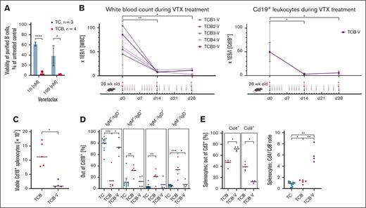 Increased sensitivity of TCB mice to venetoclax. (A) The viability of murine splenocytes (purified B cells) relative to corresponding untreated samples was assessed via annexin V binding or adenosine triphosphate (ATP) content after overnight in vitro treatment with 10 or 100 nM venetoclax, respectively. P values refer to the comparison of isolated B splenocytes from TC and TCB mice. (B) Five 28-week-old TCB mice were subjected to intragastric (p.o.) administration of venetoclax (200 mg/kg) on the indicated days for 4 weeks. Their white blood cell counts and Cd19+ population (day 0 n = 4; day 14 n = 5; day 28 n = 4; day 0 to day 14, ∗P = .0159; day 0 to day 28, ∗P= .0286) were longitudinally followed during the treatment period. There is a significant reduction of white blood cell count in TCB mice within 14 days of venetoclax (VTX) treatment (day 0 to day 14, ∗∗P = .0079; day 0 to day 28, ∗P = .159). Numbers of B cells were calculated as follows: white blood cells × (% of B cells of viable cells per 100). After 28 days of treatment all mice were sacrificed and immunophenotyped. (C) Viable splenocytes were counted and multiplied by the proportion of B cells in the spleen. The absolute numbers of CD19+ splenocytes between untreated and venetoclax treated TCB mice were compared. (D) Splenocytes of 30-week-old TC (n = 12), TCB (n = 5), and TCB-V (n = 4) mice were analyzed by flow cytometry and the relative amounts of different B-cell developmental stages were quantified. Debris and doublets were excluded from singlets. Viable cells were defined via FS INT/SS INT. GFP+ population was gated. The total B-cell population (GFP+) was gated in the IgM vs IgD plot defining the subpopulations. (E) Among splenic T cells from untreated or venetoclax-treated mice, subpopulations with CD4 or CD8 expression were distinguished by flow cytometry. ∗P < .05; ∗∗P < .01; ∗∗∗P < .001; ∗∗∗∗P < .0001. Welch unpaired 2-tailed t test performed for panels A-E.