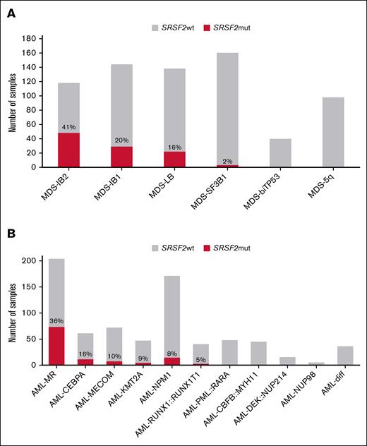 Distribution of SRSF2 mutations in MDS and AML. (A) Proportion of SRSF2 mutations in the MDS cohort (n = 698) separated by WHO entities. wt, wildtype (gray); mut, mutated (red); LB, low blasts; IB, increased blasts. (B) Proportion of SRSF2 mutations in the AML cohort (n = 744) separated by WHO entities. wt, wildtype (gray); mut, mutated (red); diff, defined by differentiation.