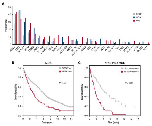 Comutation pattern and survival analysis of SRSF2-mutated cases. (A) Frequencies of comutations in SRSF2-mutated CCUS (gray), MDS (blue) and AML (red). Comutations occurring in at least 2 patients are shown. (B) OS of MDS patients with SRSF2 mutations (mut, n = 102, red; median OS, 2.8 years) vs wildtype SRSF2 (wt, n = 596, gray; median OS, 5.6 years). (C) OS of patients with SRSF2-mutated MDS with ≥3 comutations (n = 51, red; median OS, 1.7 years) vs <3 comutations (n = 51, gray; median OS, 4.4 years).