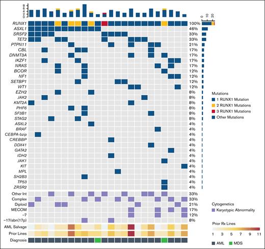 Baseline disease characteristics. The mutational and cytogenetic profile of patients enrolled in this study are shown in the heat map. Previous lines of Rx are divided into salvage number for AML and total number of previous lines, including number of lines of Rx for any antecedent hematologic neoplasm. Of the 24 patients enrolled, 22 had AML and 2 had MDS. Other Int, other intermediate nondiploid karyotypic abnormalities; Rx: treatment.
