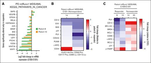 Differential protein and mRNA expression in PBMNCs from nonresponder vs responder with MDS/AML after treatment with omacetaxine and VEN. (A) CyTOF analysis demonstrating myeloid and apoptosis-related proteins differentially expressed at the baseline (C1D1) in phenotypically characterized AML stem/progenitor cells from nonresponders compared to those from patients who responded. (B) mRNA gene expression was exclusively altered in PBMNCs harvested at C1D5 after treatment with omacetaxine and VEN, compared to C1D1, in the patients with MDS who responded, as determined in KEGG pathway genes via RNA-Seq and gene set enrichment analysis. Top downregulated genes include β-catenin members (LEF1, FZD3, WNT7A, and WNT1) and hedgehog signaling pathway member (PTCH1). (C) CyTOF analysis demonstrating log2-fold reduction in expression of proteins in PBMNCs after response to omacetaxine and VEN treatment (C1D5 vs C1D1), occurring only in responders (patients 8 and 10 with MDS) vs nonresponders (patients 14 and 20). Lo, low; mtRux1, mutant RUNX1; PD, patient derived; Pos, positive.