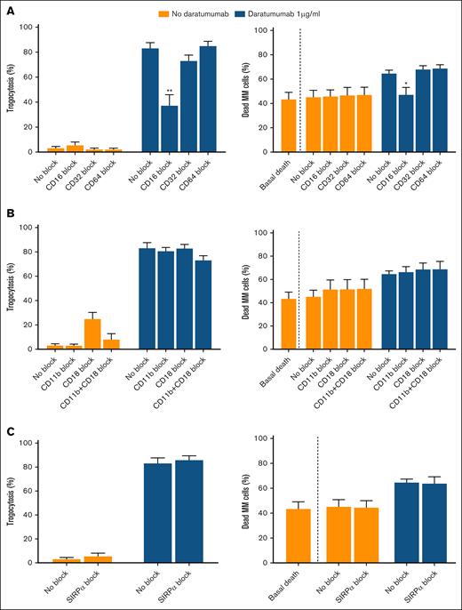 Effect of blocking neutrophil surface molecules on the mechanisms of trogocytosis and ADCC. Trogocytosis (left) and ADCC (right) of neutrophils derived from healthy donors (n = 6) on the MOLP-8 myeloma cell line. (A) Effect of Fc receptor (CD16, CD32, and CD64) blockade on trogocytosis (left) and ADCC (right). (B) Effect of CD11b and/or CD18 integrin blockade on trogocytosis (left) and ADCC (right). (C) Effect of the don’t-eat-me signal molecule Signal Regulatory Protein Alpha (SIRPα) blockade on trogocytosis (left) and ADCC (right). Data represent mean ± SEM from 6 individual experiments. Each blocking condition was compared to the unblocked control by unpaired t test. ∗P < .05 and ∗∗P < .01. Whenever “basal death” is indicated, it means the death of MOLP-8 cells in basal culture conditions (without neutrophils and drug). The remaining conditions correspond to coculture of neutrophils and myeloma cells.