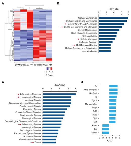 Vk∗MYC:Wwox KO CD138+ PCs display proinflammatory and tumorigenic transcriptomic signatures. (A) Unsupervised clustering and heat map of 87 differentially expressed genes (FDR < 0.05) comparing Vk∗MYC:Wwox WT and Vk∗MYC:Wwox KO CD138+ PCs (n = 3 mice per group). Red or blue colors indicate differentially upregulated or downregulated genes, respectively. Mean signals were background corrected and log2 transformed. (B-C) Bar graph depicting enrichment of biofunctions associated with tumorigenic phenotypes (B) and disease processes (C) (highlighted by red arrows), driven by dysregulated gene expression in Vk∗MYC:Wwox KO PCs (z score cutoff ±2; P < .05). (D) Bar graph showing top-activated and inhibited upstream regulators as per IPA (z score cutoff ±2; P < .05) based on DGE profiles in Vk∗MYC:Wwox KO compared to the control group.