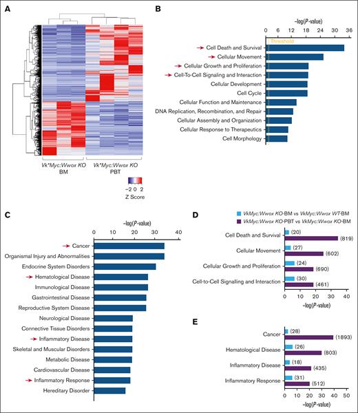Highly enriched inflammatory gene expression signatures in Vk∗MYC:Wwox KO PBTs. (A) Unsupervised clustering and heat map of 2355 differentially expressed genes (FDR < 0.05) comparing Vk∗MYC:Wwox KO-BM (n = 3) and Vk∗MYC:Wwox KO-PBT (n = 4) groups. Red or blue colors indicate differentially upregulated or downregulated genes, respectively. Mean signals were background corrected and log2 transformed. (B-C) Bar graph depicting enrichment of biofunctions associated with tumorigenic phenotypes (B) and disease processes (C) (highlighted by red arrows), driven by dysregulated gene expression in Vk∗MYC:Wwox KO PBTs (z score cutoff ±2; P < .05). (D) Bar graph showing the number of deregulated genes and the magnitude of statistical significance for enriched biofunctions and disease processes in Vk∗MYC:Wwox KO-PBT vs Vk∗MYC:Wwox KO-BM and Vk∗MYC:Wwox KO-BM vs Vk∗MYC:Wwox WT-BM groups. The enrichment was more pronounced in Vk∗MYC Wwox KO-PBT vs Vk∗MYC Wwox KO-BM (P value range, 4.28×10-40 to 1.69×10-19) compared to Vk∗MYC:Wwox KO-BM vs Vk∗MYC:Wwox WT-BM (P value range, 2.06×10-7 to 1.19E×10-3). Numbers in parentheses beside each bar indicate the number of differentially expressed genes in each category.