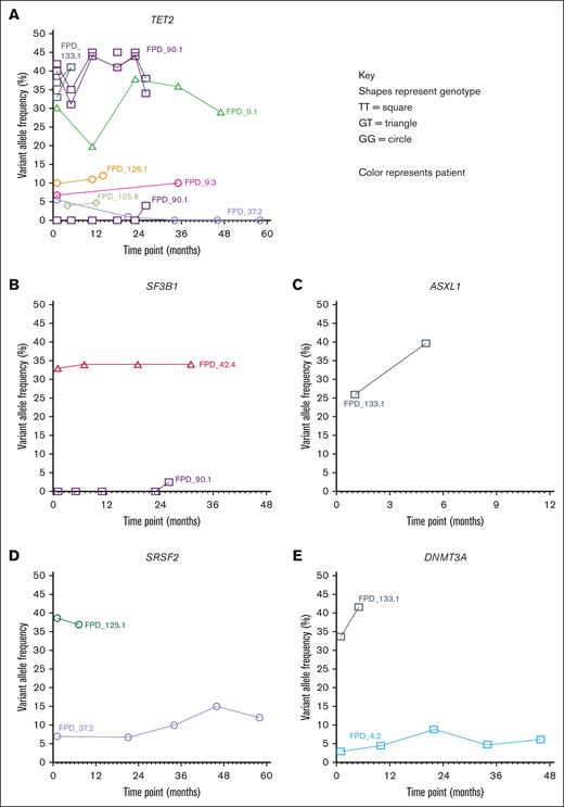Somatic mutation VAF in CHIP genes over time. Clone growth over time in relation to the TCL1A genotype in the following CHIP genes: TET2 (A), SF3B1 (B), ASXL1 (C), SRSF2 (D), and DNMT3A (E). (A-E) Every patient is shown with a different color, and their FPD ID is depicted by the number. Shapes represent TCL1A genotype, T/T are squares, G/T are triangles, and G/G are circles. All VAFs are from bone marrow NGS and ES results.