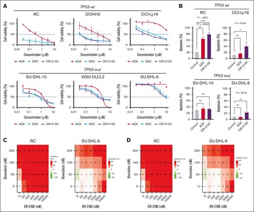 Sensitivity of DHL cell lines to OR-2100 when used as a single agent or as combination therapy. (A) RC cells, DOHH2 cells, OCI-Ly18 cells, SU-DHL-10 cells, WSU-DLCL2 cells, and SU-DHL-6 cells were treated with HMAs (AZA, DAC, or OR-2100) for 72 hours, followed by cell viability assays. (B) The proportion of apoptotic cells in SU-DHL-6, SU-DHL-10, RC, and OCI-Ly18 cells after 72 hours of treatment with vehicle, 500 nM AZA, or OR-2100. The combined effect of OR-2100 and doxorubicin (C) or vincristine (D) in RC cells and SU-DHL-6 (calculated by SynergyFinder Plus). The combination of OR-2100 and doxorubicin has an additive effect against both RC cells and SU-DHL-6 cells. The combination of OR-2100 and vincristine has an additive effect against RC cells and SU-DHL-6 cells. mut, mutation; ns, not significant; wt, wild type.