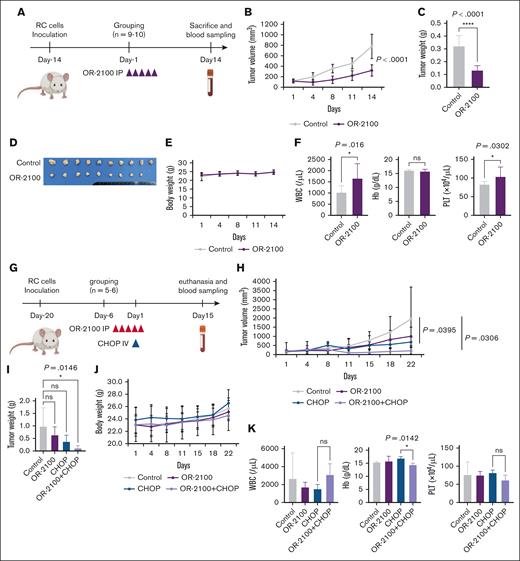 Xenograft experiment to test the OR-2100 plus CHOP regimen. (A) Experimental schema for the RC cell xenograft mouse model. BRJ double-deficient mice were inoculated subcutaneously with 5 × 106 RC cells and then treated with vehicle (n = 10), OR-2100 (3.39 mg/kg; n = 9), as indicated by the red arrowheads. (B) The mean tumor volume was measured twice per week, starting on day 1. Ctr, gray; OR-2100, purple. (C) The mean tumor weight in each treatment group. Differences between the vehicle and each treatment group were evaluated using Dunnett test. (D) Image of the resected tumors in each treatment group. (E) Mean body weight of mice. No body weight loss was noted in any of the groups Ctr, gray; OR-2100, purple. (F) The concentration of Hb and complete blood counts, including WBC and PLT counts, in mice euthanized at 14 days after the first treatment. (G) Experimental schema for the RC cell xenograft mouse model. BRJ double-deficient mice were inoculated subcutaneously with 5 × 106 RC cells and then treated with vehicle (n = 5), OR-2100 (3.39 mg/kg; n = 6), CHOP (n = 5), or OR-2100 + CHOP (n = 6), as indicated by the red and blue arrowheads. (H) The mean tumor volume was measured twice per week, starting on day 1. Ctr, gray; OR-2100: purple; CHOP: blue; OR-2100 + CHOP, lavender. (I) The mean tumor weight in each treatment group. Differences between the vehicle and each treatment group were tested using Dunnett’s test. ns, not significant. (J) The mean body weight of mice. No body weight loss was noted in any of the 4 groups. Ctr, gray; OR-2100, purple; CHOP, blue; OR-2100 + CHOP, lavender. (K) The concentration of Hb and complete blood counts, including WBC and PLT counts, in mice sacrificed at 22 days after the first treatment. The differences between the CHOP and OR-2100 + CHOP group were tested using Dunnett test. Hb, hemoglobin; ns, not significant; PLT, platelet; WBC, white blood cell.