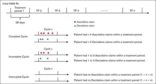 Definition of HMA treatment cycles. TP, Treatment Period.
