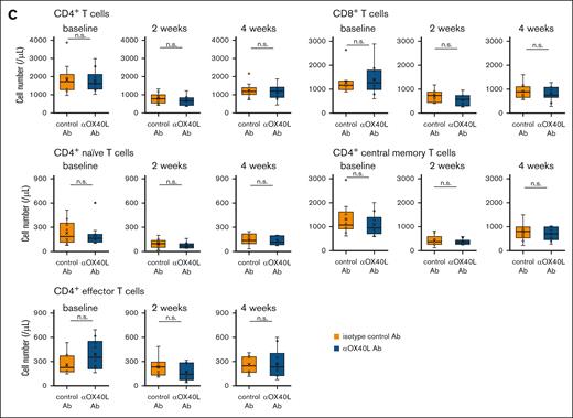 Blockade of OX40 signaling attenuates bendamustine-induced T-cell depletion. (A) T-cell counts at baseline and 2 and 4 weeks after bendamustine administration in C57BL/6 mice pretreated with anti-OX40L Ab (n = 17) or isotype control Ab (n = 18). Statistical significance was assessed by Welch t test based on T-cell counts at 2 and 4 weeks. The results are indicated as: n.s., P > .05; ∗P < .05; ∗∗P < .01; ∗∗∗P < .001. (B) Changes in the volume of transplanted B-cell lymphoma (HM876) in C57BL/6 mice after bendamustine administration with anti-OX40L Ab (n = 10) or isotype control Ab (n = 10) pretreatment. The tumor reduction rates at day 8 were compared between the 2 groups using the Brunner-Munzel test, which does not require assumptions of normality and homoscedasticity. (C) T-cell counts at baseline and 2 and 4 weeks after cyclophosphamide administration in C57BL/6 mice pretreated with anti-OX40L Ab (n = 10) or isotype control Ab (n = 10). Statistical significance was assessed by Welch t test based on T-cell counts at 2 and 4 weeks. The results are indicated as: n.s., P > .05. Ab, antibody.