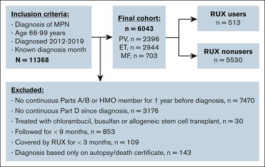 Cohort selection. HMO: health maintenance organization.