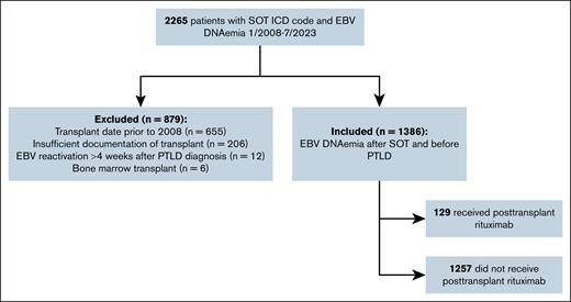 CONSORT diagram. ICD, International Classification of Diseases.