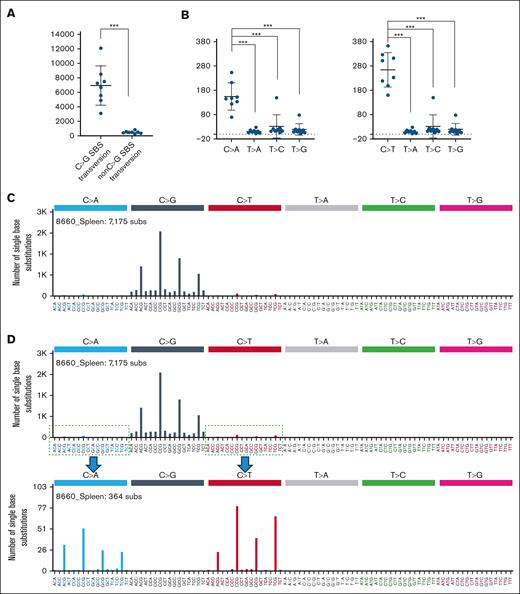 BCP-ALL developing after ATC exposure shows a dramatic increase in C>G transversions. (A) Absolute number of C>G and non-C>G transversions identified for RAG-1 KO ATC B-lineage leukemia samples (n = 8) using WES. (B) Absolute number of C>A (left plot) and C>T (right plot) SBS mutations compared to remaining SBS mutations (excluding C>G transversions) identified from WES data. ∗∗∗P = .0002. (C) Representative SBS plot of RAG-1 KO BCP-ALL from mouse 8660. Note most C>G transversions are in a 5'-NCG-3' context. (D) SBS plot of RAG-1 KO BCP-ALL from mouse 8660 following computational removal of C>G mutations and re-scaling mutation count; this allows visualization of non-C>G mutations. C>A and C>T mutations are also in a 5'-NCG-3' context.