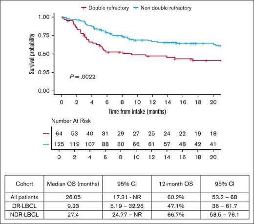 OS of all patients, by DR status.