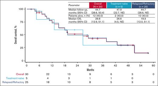 OS outcomes. Kaplan-Meier analysis of OS for all patients (red curve), patients who were treatment naïve (light blue curve), and relapsed or refractory patients (dark blue curve) treated with tagraxofusp 12 μg/kg per day. NE, not estimable.