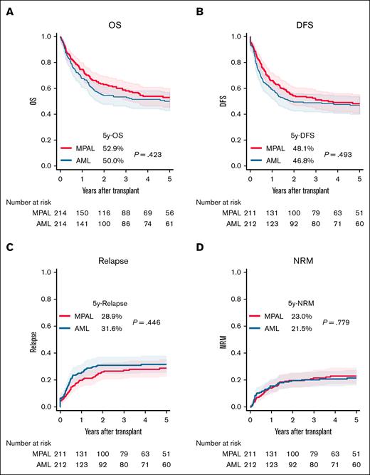 Comparison of transplantation outcomes between patients with MPAL and those with AML after propensity score matching. (A) OS. (B) DFS. (C) Cumulative incidence of relapse. (D) Cumulative incidence of NRM.