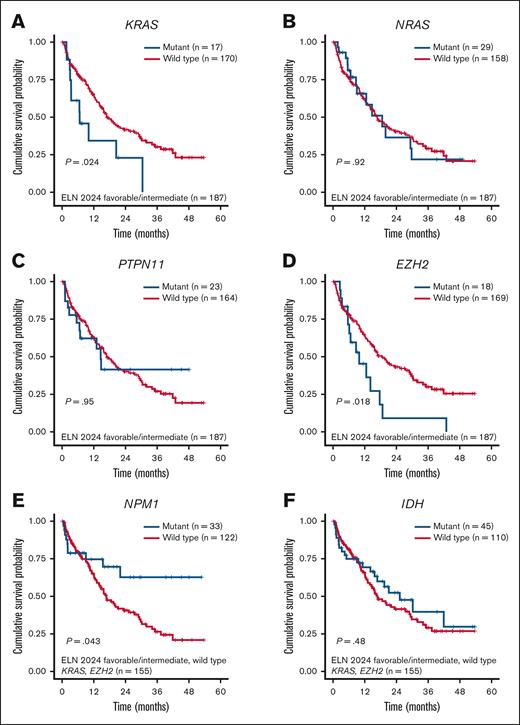 Kaplan-Meier OS analysis for patients with newly diagnosed AML aged ≥60 years. (A-D) Survival analysis stratified by KRAS, NRAS, PTPN11, and EZH2 mutations among patients with ELN 2024 favorable- or intermediate-risk AML. (E-F) Survival analysis stratified by NPM1 and IDH mutations among patients with ELN 2024 favorable- or intermediate-risk AML with KRAS and EZH2 wild type.
