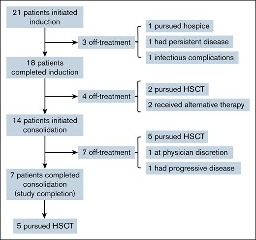 CONSORT diagram showing patient dispositions during therapy. In total, 13 of 21 patients (62%) underwent an HSCT. HSCT, hematopoietic stem cell transplant.