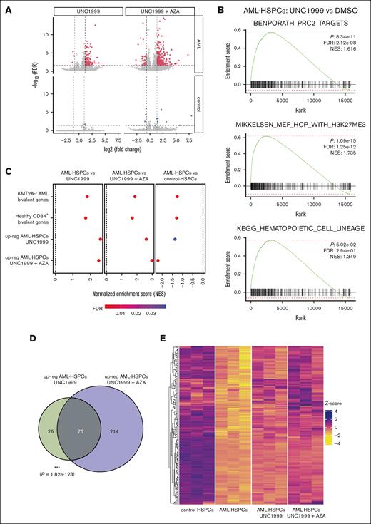 PRC2 inhibition derepresses transcription of Polycomb target genes downregulated in AML-HSPCs. (A) Volcano plot displaying differentially expressed genes identified using DESeq2 in AML- (red) and control- (blue) HSPCs, following 72 hours of treatment with 2 μM UNC1999 (left) or 2 μM UNC1999 + 1 μM AZA (right) compared with treatment with DMSO (n = 3). Dashed lines denote cutoffs for the significance threshold (FDR = 0.05, horizontal; |log2(fold change)| = 1, vertical). (B) GSEA plots comparing gene expression profiles between differentiated AML-HSPCs treated with UNC1999 or DMSO for 72 hours. (C) Dot plots displaying NES scores from GSEA using ranked gene expression changes in AML-HSPCs treated with UNC1999, UNC1999 + AZA, or in untreated vs control-HSPCs. Gene sets tested include genes upregulated following treatment, as well as genes marked by H3K27me3 and H3K4me3 (bivalent) (D) Venn diagrams showing the overlap of upregulated genes in AML-HSPCs treated with UNC1999 (left) or UNC1999 + AZA (right) compared with those treated with DMSO. (E) Heat map showing row-wise z scores of log2(CPM) expression values of 154 upregulated genes in AML-HSPCs treated with 2 μM UNC1999 or 2 μM UNC1999 + 1 μM AZA that overlap with genes downregulated in DMSO-treated control-HSPCs. ∗∗∗P ≤ .001. CPM, counts per million; FDR, false discovery rate; NES, normalized enrichment score.