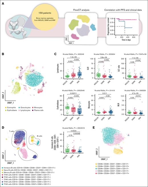 FlowCT analysis of BD OneFlow PCD tube. (A) The scheme illustrates the experimental design. (B) UMAP of eosinophils (CD45+bright, SCChigh), erythroblasts (CD45−, CD38−, SCClow), granulocytes (CD45+dim, SCChigh), lymphocytes (CD45+, SCClow), monocytes (CD45+, SCCint), and plasma cells (CD138+ CD38+high) identified by self-organizing map (SOM) of BD OneFlow PCD tube. (C) Box plots show a statistically different distribution of lymphocytes, GLR, GTL ratio, erythroblasts, monocytes, and monocyte-to-lymphocyte ratio (MLR) as MM progresses. (D) Subclustering of lymphocyte subsets based on the median expression of the individual marker in each cell cluster. Box plots represent the proportion of immature B cells (CD38+ CD28− CD27− CD81+, CD117−) between patients with MGUS, SMM, and MM. (E) Subclustering of monocytes cell subsets based on the median expression of the individual marker in each cell cluster. UMAP, uniform manifold approximation and projection.