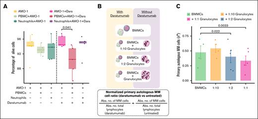 Granulocytes derived from the BM potentiate the cytotoxicity mediated by Dara. (A) Box plots depict the percentage of viable MM cells (7-amino-actinomycin D negative and Annexin-V negative) from the AMO-1 MM cell line after coculture with peripheral blood neutrophils and PBMCs in the presence of Dara. (B) Schematic diagram of the experimental setup for assessing cytotoxicity mediated by autologous BM-derived granulocytes. (C) Box plot showed the differences in the number of primary autologous MM cells after coculture with BM-derived granulocytes and BMMCs from patients with MM. Primary autologous MM cell counts were normalized by comparing the absolute number of viable MM cells in Dara-treated vs untreated conditions. Abs. no., absolute number; Dara, daratumumab.