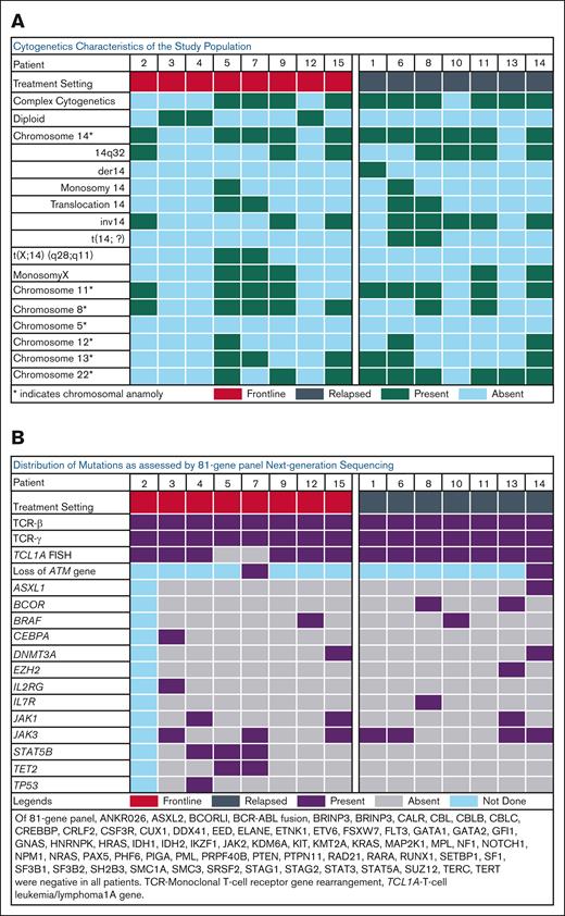 Cytogenetic and mutation patterns in the study population. Oncoplot demonstrating (A) cytogenetic characteristics and (B) NGS and FISH results of the study population prior to treatment initiation.