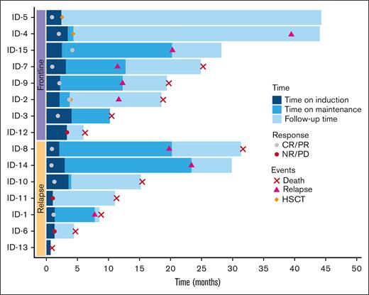 Swimmer plot for clinical course of study participants. Swimmer plot showing individual patient’s clinical course since initiation of treatment on study including patient cohort, timing of CR, PR or NR/PD as well as time of relapse, HSCT, or death. Induction phase indicates duration of combination therapy with alemtuzumab and itacitinib. Maintenance indicates duration of itacitinib maintenance after conclusion of combination therapy. CR, complete remission; HSCT, hematopoietic stem cell transplantation; ID: patient number; NR, no response; PD, progressive disease; PR, partial remission.