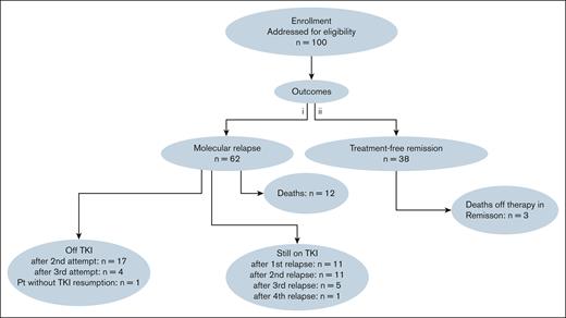 The CONSORT diagram of the 100 patients included in the STIM study. Pt, patient.