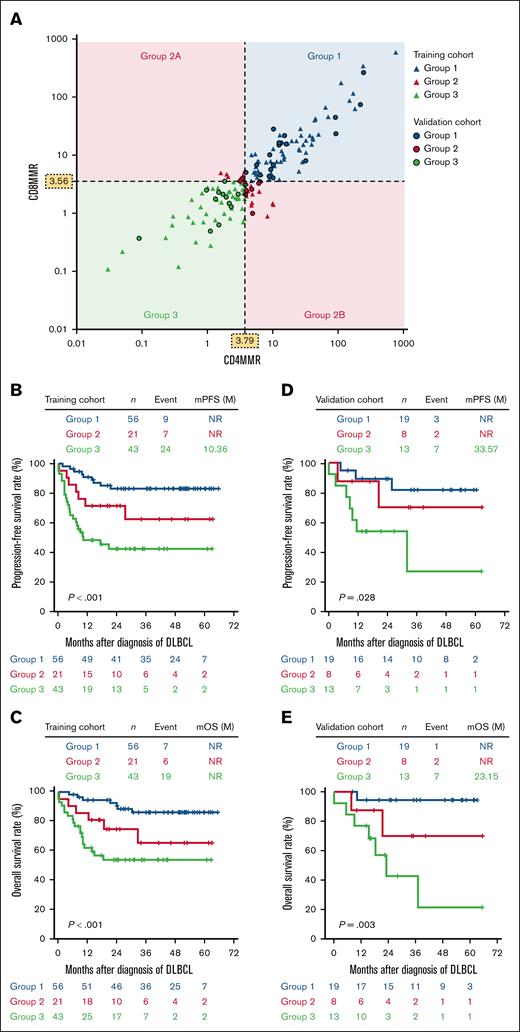 Stratification of patients with DLBCL based on CD8MMR and CD4MMR. (A) CD8MMR and CD4MMR were combined to categorize patients with DLBCL into 3 distinct groups: group 1 includes patients with CD8MMR ≥3.56 and CD4MMR ≥3.79; group 3 consists of patients with CD8MMR <3.56 and CD4MMR <3.79; and group 2 includes patients who do not meet the criteria for either group 1 or group 3. In the training cohort of 120 patients with DLBCL, PFS (B) and OS (C) were analyzed according to group 1, group 2, and group 3. Similarly, among the validation cohort of 40 patients with DLBCL, PFS (D) and OS (E) were assessed by group 1, group 2, and group 3. P values were calculated using Kaplan-Meier curves and log-rank tests. mOS, median OS; mPFS, median PFS; NR, not reached.