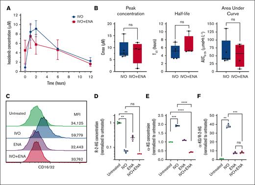 Impact of concurrent ENA treatment on PK and differentiation efficacy of IVO. (A) Plasma concentrations of IVO measured at baseline (0 hour) and at 1, 2, 6, and 12 hours after the final dose in mice receiving IVO alone or IVO+ENA combination. Data represent mean values from 5 mice (IVO alone) and 4 mice (IVO+ENA). Error bars indicate standard error of the mean (SEM). (B) PK parameters including peak concentration (Cmax), half-life (t1/2), and area under the curve (AUC0-12hr) for IVO in mice treated with IVO alone (n = 5) or IVO+ENA combination (n = 4). The box represents the interquartile range, with the median indicated by the line inside the box. Whiskers extend to the minimum and maximum values. (C) Flow cytometry analysis of CD16/32 expression levels on OCI-mIDH1/N cells left untreated or treated with IVO (5 μM), ENA (15 μM), or both compounds for 5 days. Values represent MFI. Data are representative of 3 independent experiments. (D) Intracellular R-2-HG concentrations in OCI-mIDH1/N cells from experiment in panel C. Data are normalized to untreated control samples and shown as mean ± SEM. (E) Intracellular α-KG concentrations in OCI-mIDH1/N cells from experiment in panel C. Data are normalized to untreated control samples and shown as mean ± SEM. (F) Ratio of α-KG to R-2-HG in OCI-mIDH1/N cells from experiment in panel C. Data are normalized to untreated control samples and shown as mean ± SEM. Statistical significance was determined using unpaired 2-sided Student t test. ∗P < .05; ∗∗P < .01; ∗∗∗P < .001; ∗∗∗∗P < .0001; ns. MFI, median fluorescence intensity.