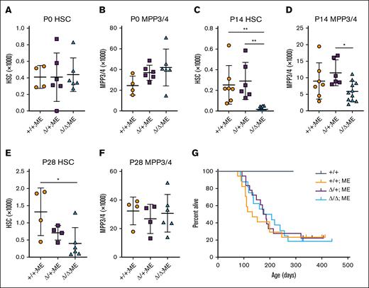 Skida1 sustains neonatal MLL::ENL-expressing HSCs and MPPs. (A-F) HSC and MPP3/4 numbers for the indicated genotypes in P0 whole liver (A-B), P14 bone marrow (C-D), or P28 bone marrow (E-F). Panels C through F indicate cell numbers for 2 hindlimbs (tibia plus femur). P0: n = 4 (+/+;ME), n = 6 (Δ/+;ME), n = 6 (Δ/Δ;ME); P14: n = 7 (+/+;ME), n = 6 (Δ/+;ME), n = 11 (Δ/Δ;ME); P28: n = 4 (+/+;ME), n = 4 (Δ/+;ME), n = 6 (Δ/Δ;ME). ∗P < .05; ∗∗P < .01 by 1-way ANOVA with the Tukey post hoc test. (G) Kaplan-Meier survival curves for Tet-Off-ME mice of the indicated Skida1 genotypes. n = 6 (+/+), n = 14 (+/+;ME), n = 14 (Δ/+;ME), n = 13 (Δ/Δ;ME). ME, MLL::ENL.