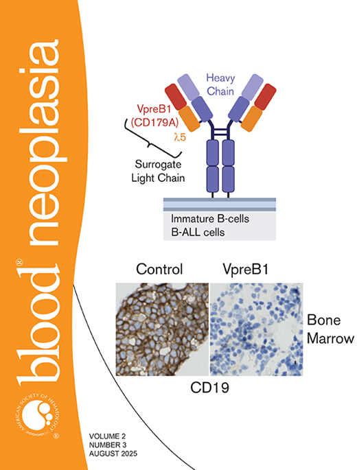 Blood Neoplasia Cover Image for Volume 2, Issue 3