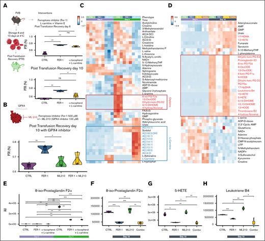 The ferroptosis inhibitor FER-1 mitigates lipid peroxidation and boosts PTR. Storage of murine RBCs for 6 or 10 days in the presence of the ferroptosis inhibitor FER-1 or antioxidants (vitamin E) and Lands cycle-fueling l-carnitine significantly boosted PTR (A), an effect ablated by combined storage in the presence of the covalent GPX4 inhibitor ML210 (B). These effects were accompanied by consistent mitigation of lipid peroxidation by FER-1 and vitamin E +l-carnitine (C), and exacerbation of lipid peroxidation upon GPX4 inhibition (D; heat map of the top 50 by LDA by time and intervention). (E-H) Highlights of 8-iso-prostaglandin F2α, 5-HETE, and leukotriene B4.