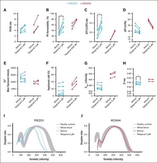 Effects of ex vivo PK activation treatment on HX RBCs. (A) RBCs of patients with HX (PIEZO1-HX, n = 6; KCNN4-HX, n = 2) were treated ex vivo with the PK activator tebapivat (2 μM) overnight, which led to an increase in PK activity as reflected by the PK:HK ratio. (B) PK thermostability showed improvements upon ex vivo treatment with tebapivat. PK thermostability after 60 minutes incubation is reported. (C-D) The effect of increased PK activity on ATP:2,3-DPG ratio and hemoglobin-oxygen affinity. (E) Effect of PK activation on intracellular calcium levels. (F-G) To determine the effect of enhanced glycolysis on RBC hydration, both the percentage of hypochromic cells (F) and the Ohyper values (G) were evaluated. (H) Along with the effect on Ohyper, the effect on EImax was also determined. (I-J) Individual representative osmotic gradient ektacytometry curves of PIEZO1-HX (I) and KCNN4-HX (J) show that no improvement in hydration is observed in patients with PIEZO1, whereas patients with KCNN4-HX show improved Ohyper values. ∗P < .05. Square symbols indicate splenectomized patients.