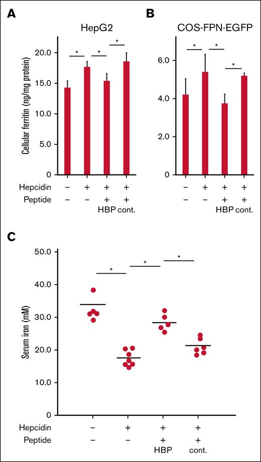 HBP inhibits intracellular ferritin accumulation. (A-B) To assay intracellular iron sequestration in cultured cells, intracellular ferritin accumulation was measured in HepG2 cells (A) and FPN-EGFP–expressing COS-1 cells (B). HepG2 cells were maintained in minimum essential medium (Thermo Fisher Scientific) supplemented with 10% FBS and nonessential amino acids (Lonza). Cells were incubated with hepcidin (0.5μM). Cells were incubated with hepcidin (0.5μM) plus HBP (5.0μM). Cells were incubated with hepcidin (0.5μM) plus control peptide (5.0μM). Peptides and hepcidin were simultaneously added to the cell media. Bars represent means ± standard deviation (SD; n = 3). ∗P < .05. (C) Intracellular iron sequestration in an in vivo system. Hypoferremia was induced by hepcidin in mice. To suppress endogenous hepcidin, mice were fed a modified AIN-93G rodent diet with no added iron (Research Diet Inc) for 3 days. Mice received an intraperitoneal injection of hepcidin, hepcidin plus HBP, and hepcidin plus a control peptide. Peptides (900 nmol/kg body weight) and hepcidin (90 nmol/kg body weight) were separately administered to mice at the same time. Four hours later, the serum ion level was determined (n = 5-7). Comparisons between experimental groups were conducted with the use of multiple Student t tests. ∗P < .05. cont., control peptide.